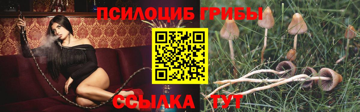 Волхов  Псилоцибиновые грибы ЛСД  Псилоцибиновые грибы MAGIC MUSHROOMS  Вход с VPN 